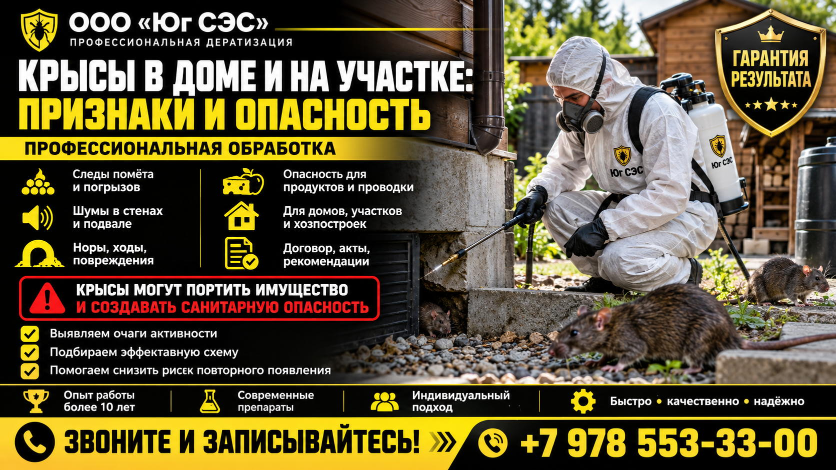Крысы в доме и на участке: признаки и опасность | ООО «Юг СЭС»